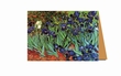 Irises Greeting Card